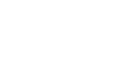 NITRO ASH